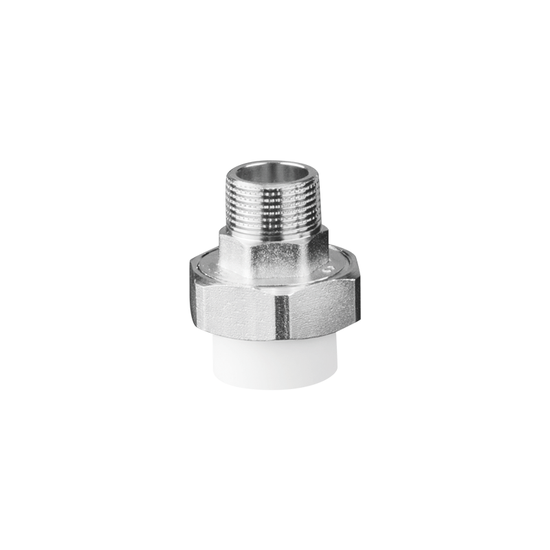 GH101-17 External teeth live kno…
